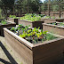42+ Vegetable Garden Plans Raised Beds Pics