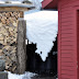 100 Words For Snow