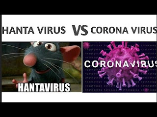 Difference between Hanta and Corona