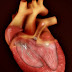 Overriding Aorta Symptoms, Causes, Fallot, Treatment