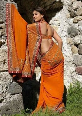 South Indian Actress Saree