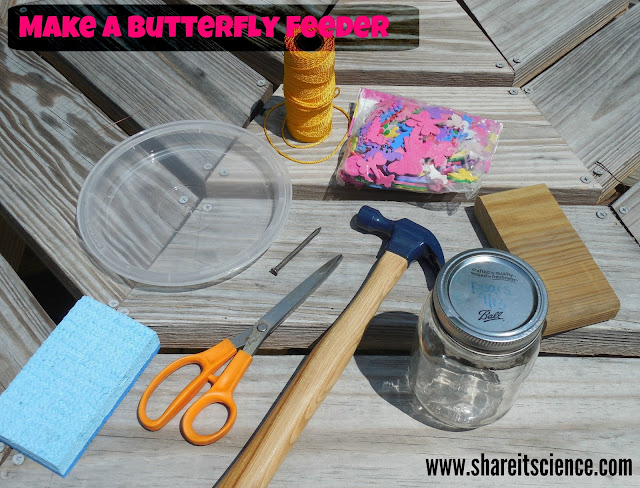 DIY Build Your Own Butterfly Feeder