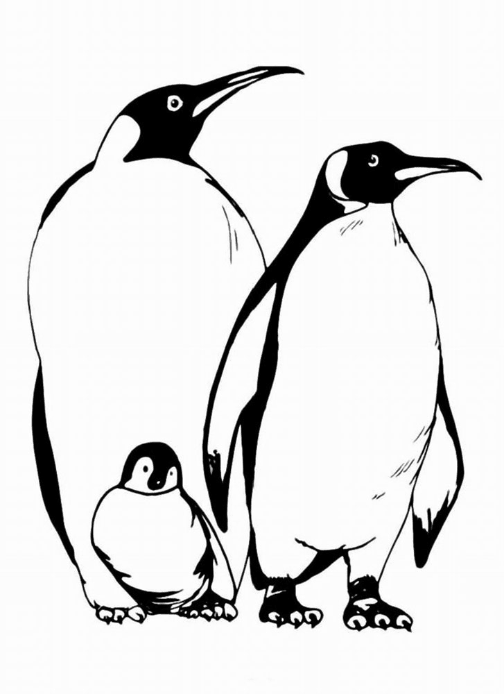  Gambar  Mewarnai Pinguin Untuk Anak PAUD dan TK Mewarnai 