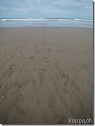 110511 Playa Las Lajas (7)