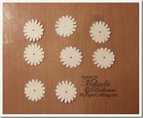 white flowers-500