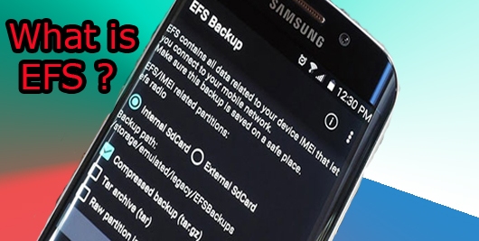 efs file  in Android  Firmware