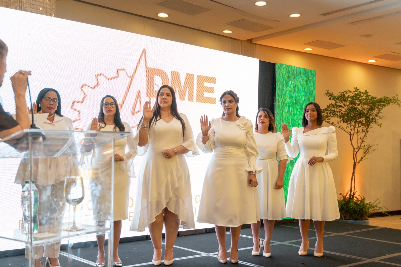 Michelle Ortiz asume la presidencia de la Asociación Dominicana de Mujeres Empresarias