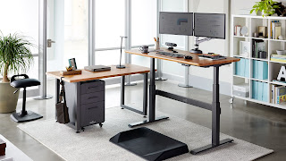 Asia-Pacific Free Standing Electrical Height-Adjustable Table Marke