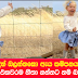 ඔබත් හොදින් බලන්නකො ඇය කම්පනය වූ හේතුව 