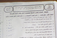 ورقة امتحان الحاسب الالى للصف الثالث الاعدادى الترم الثاني 2017 محافظة المنوفية