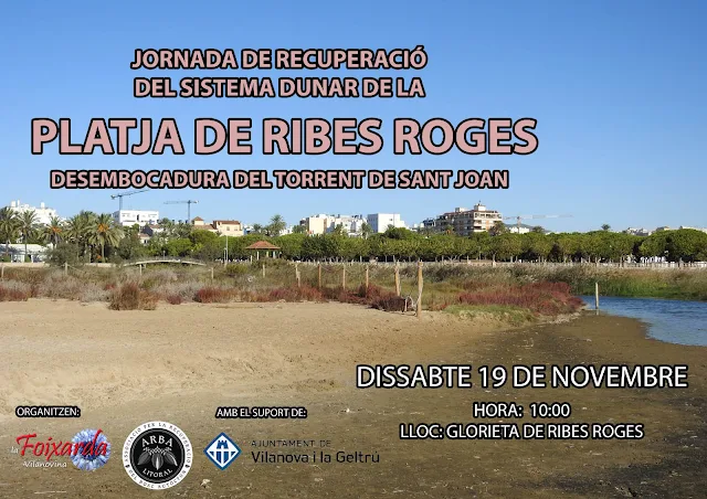 Dissabte 19 de novembre les companyes de La Foixarda i Arba Litoral farem unes actuacions de recuperació dunar a la Platja de Ribes Roges de Vilanova i la Geltrú. Retirarem manualment plantes invasores a la zona dunar propera al Torrent de Sant Joan, expecialment Xanthium strumarium, respectant les plantes pròpies del sistema dunar, per ajudar que aquestes proliferin i amb la vista posada a futures plantacions de plantes autòctones que contribueixin al desenvolupament progressiu de les dunes. També aprofitarem per fer una neteja de la platja.