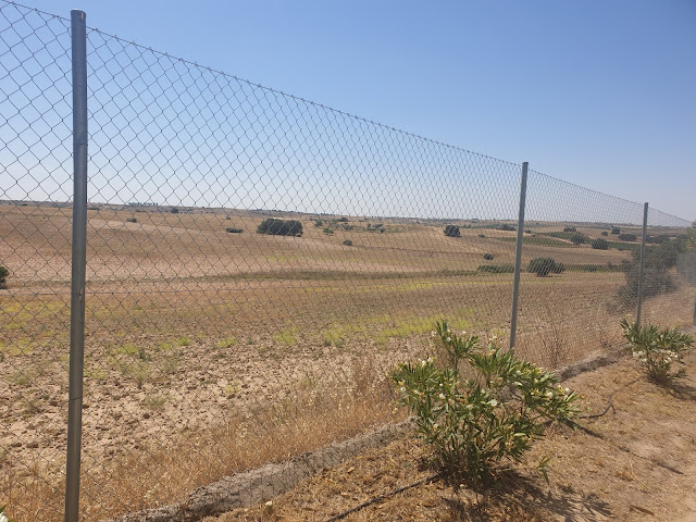 Vista de las instalaciones del Campamento de Mascotas.