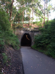 Fernleigh Track