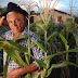 Agricultores familiares recebem primeira parcela do seguro Garantia-Safra em Andorinha‏