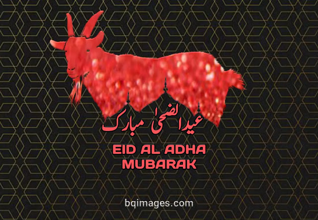Eid ul Adha HD images