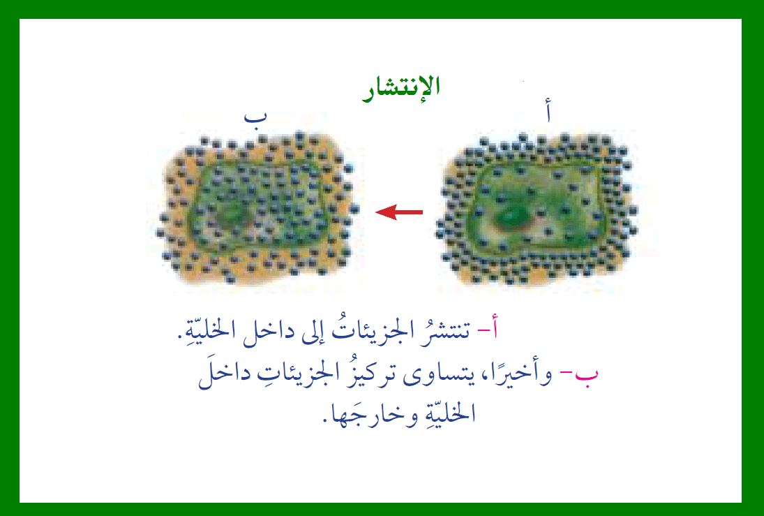 آلية إمتصاص الماء أولا خاصية الإنتشار مدونة أحمد النادى
