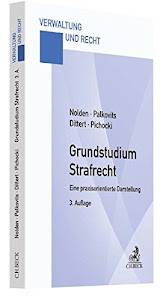 Grundstudium Strafrecht: Eine praxisorientierte Darstellung