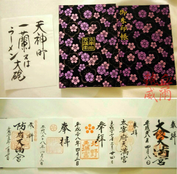 17 熱血夫妻 山口縣自駕 傑尼斯追星團 總篇集 欣傳媒