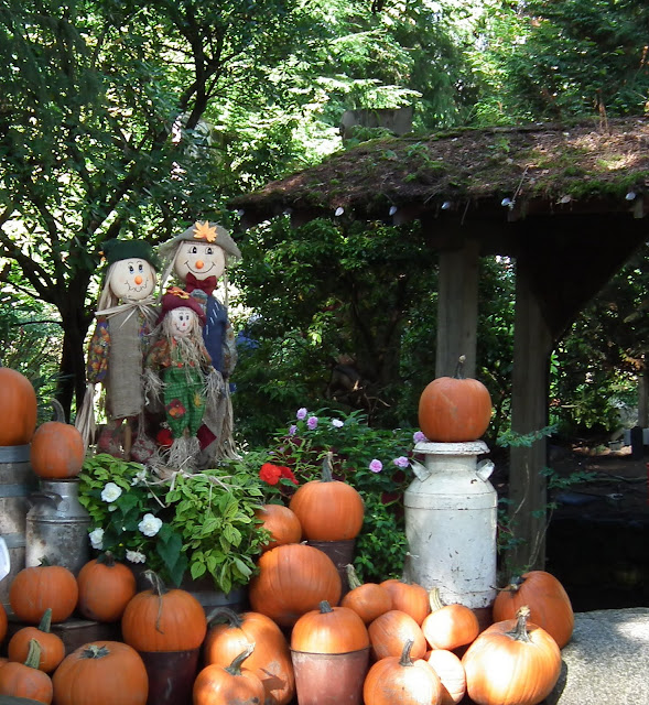  Pumpkins at Capilano Suspension Bridge