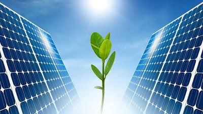 Going Green: A Guide To Solar Energy