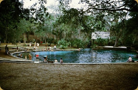 Juniper Springs 1975