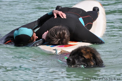 Maître-chien Sauveteur Aquatique dans le Jura fait un bilan de la victime  JD Amet Photographe