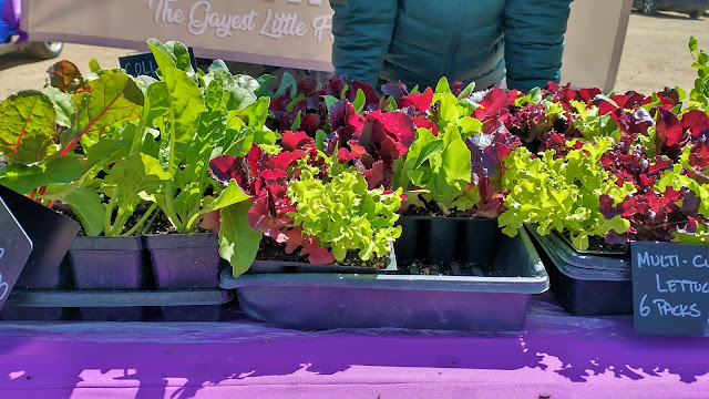 Gayest Little Farm at Longmont Farmers Market. Longmont, Colorado. Credit: Mzuriana.