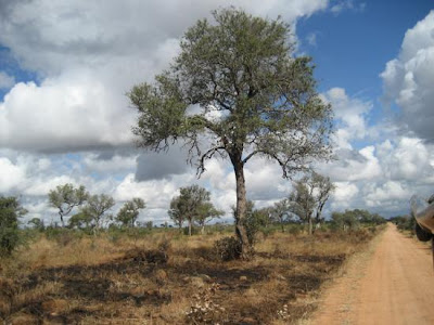 Kruger National Park