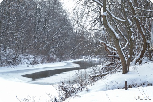 winter scenery (1 of 1)-2