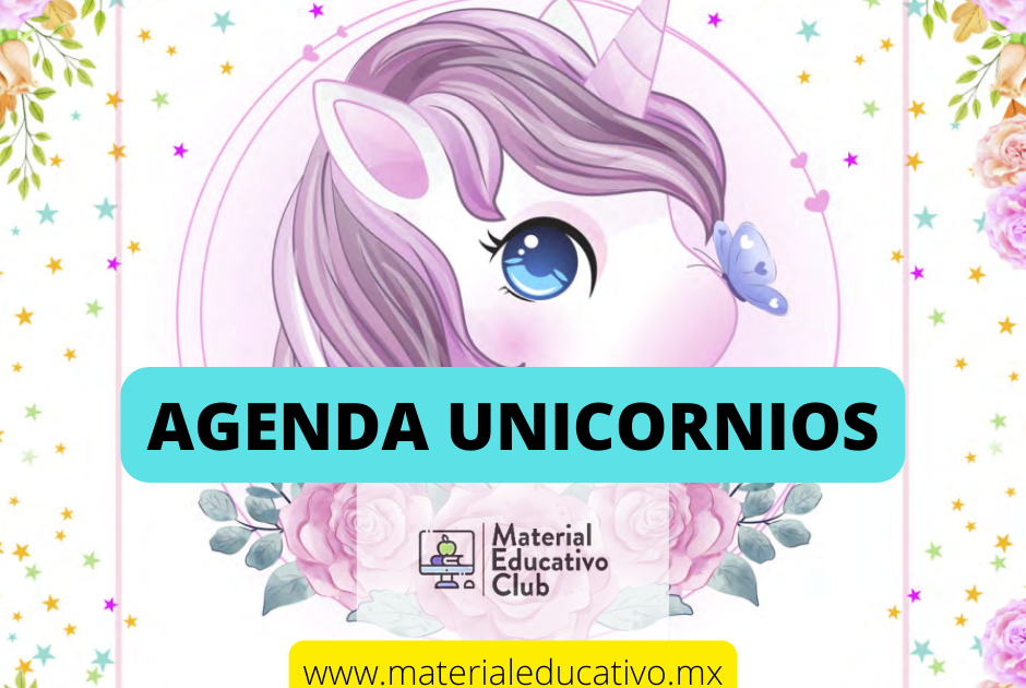 Agenda escolar 2021 2022: Unicornio mágico tema floral acuarela flores  estrellas - escuela primaria intermedia estudiante universitario para niño  y niña - Agosto de 2021 a agosto de 2022 - Calendario 