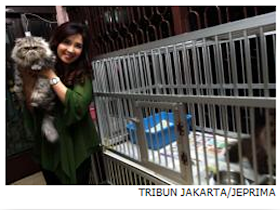 Istri Roy Suryo Punya 50 Ekor Kucing Persia