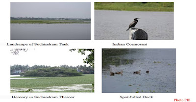 Suchindram Theroor Wetland Facts In Brief