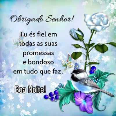 Obrigado Senhor! Tu és fiel em todas as suas promessas  e bondoso em tudo que faz. Boa Noite!