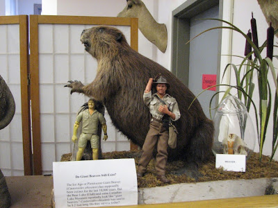 Giant Beaver