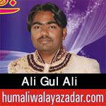 http://www.humaliwalayazadar.com/2017/04/ali-gul-ali-manqabat-2017.html