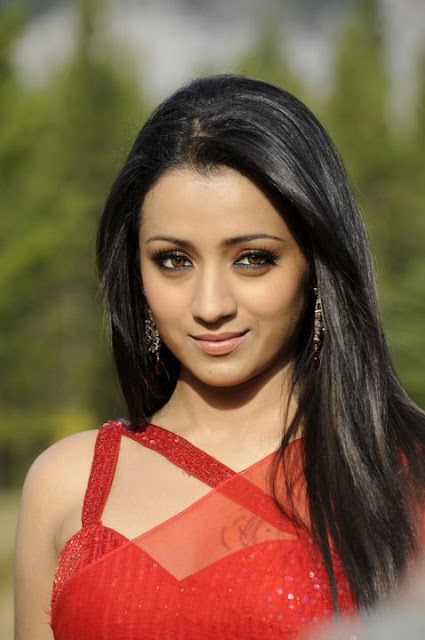 Trisha Hot in Red Saree Bodyguard Movie Stills