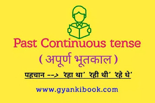 Past Continuous tense in hindi