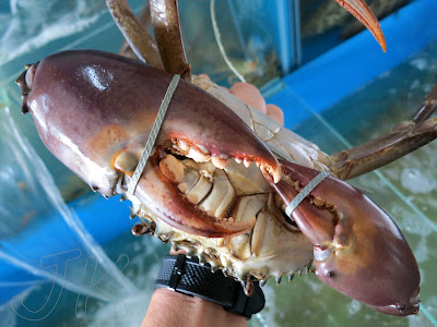 Crabs Johor