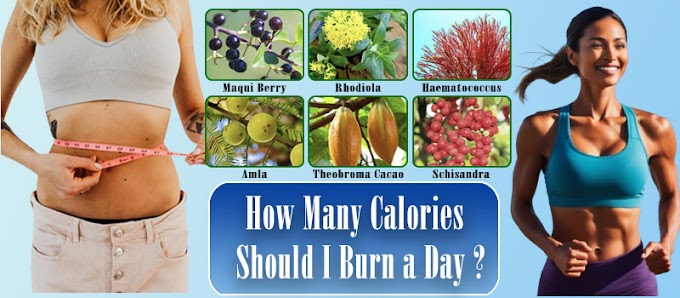  How Many Calories Should I Burn a Day?