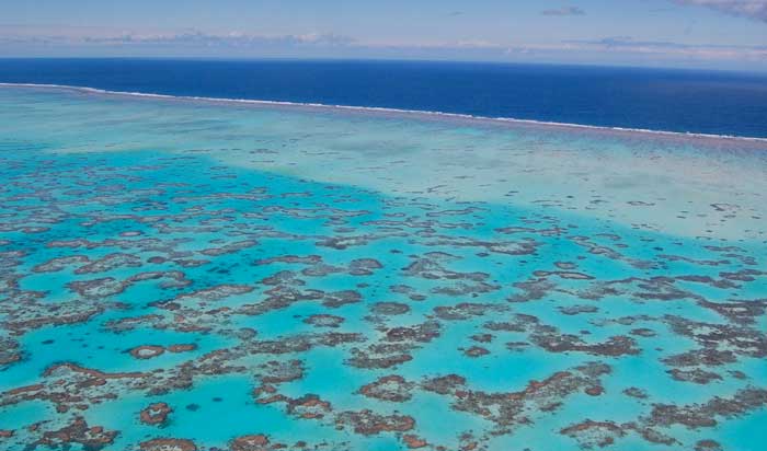 great barrier reef,terumbu,karang,terbesar