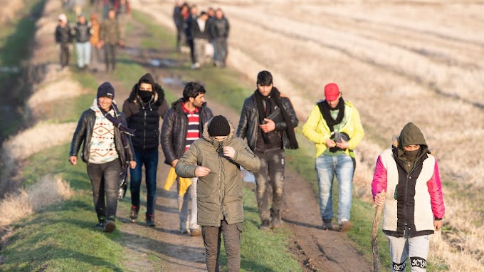 Újabb rendőröket küld a magyar–szerb határ megfigyelésére Ausztria