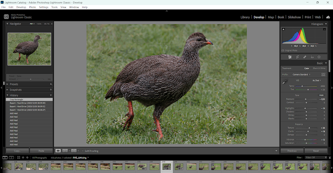 Recommended Intel Hardware for Lightroom Post-Processing