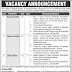 Vacancy Announcement in Think-tank 