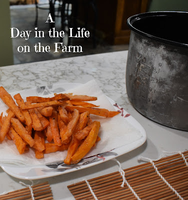 Sweet Potato Fries