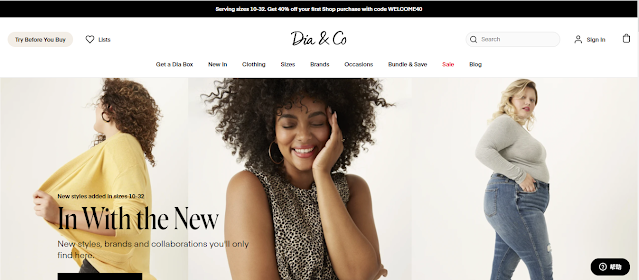 The website of Dia & Co.