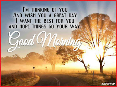 Good Morning Quotes For Friends: i'm thinking of you and wish you a great day 