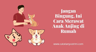 Cara merawat anak anjing