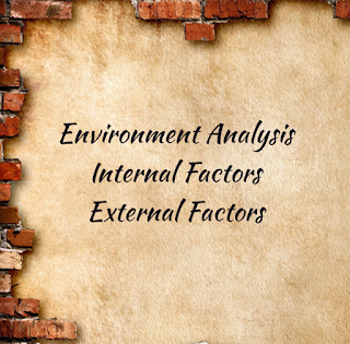 Environment Analysis