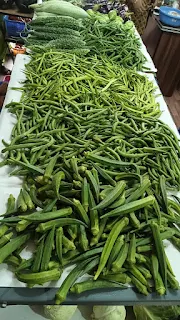 Free photo of goa fruits and vegitable