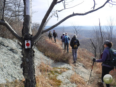 Black Mountain - Harriman Mountain State Park Appalachian Trail